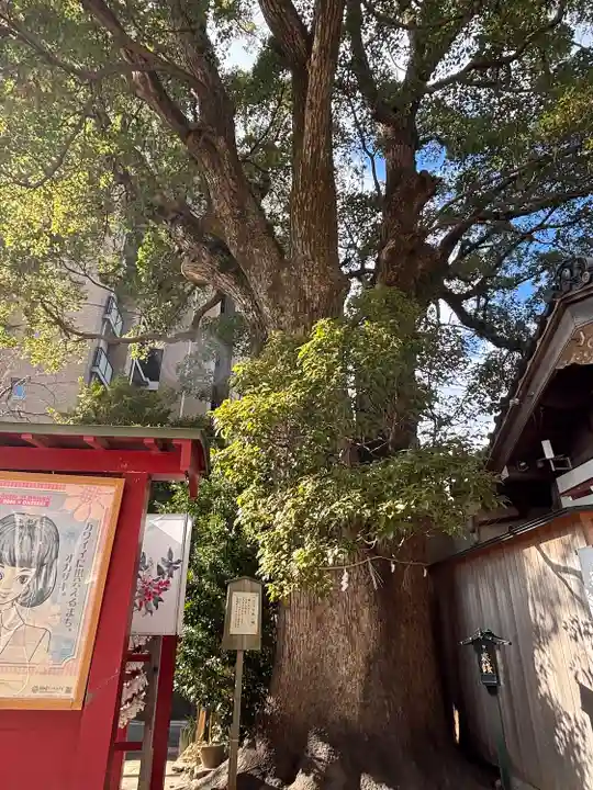 菅生神社(愛知県)