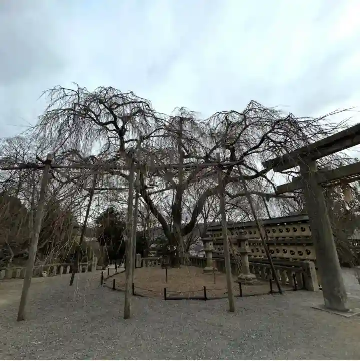 大石神社の{uncategorized: "未分類", other: "その他", undefined: "問題あり", building: "その他建物", grave: "お墓", sacred_gate: "鳥居", guardian: "狛犬", statue: "像", buddha: "仏像", history: "歴史", nature: "自然", garden: "庭園", animal: "動物", pagoda: "塔", temizu: "手水舎", mountain_gate: "山門・神門", sanctuary: "本殿・本堂", subordinate: "末社・摂社", art: "芸術", scenery: "景色", jizo: "地蔵", ema: "絵馬", goshuin: "御朱印", omikuji: "おみくじ", items: "授与品その他", amulet: "お守り", goshuincho: "御朱印帳", eats: "食事", festival: "お祭り", votive_dance: "神楽", shichigosan: "七五三参", wedding: "結婚式", experience: "体験その他", initially: "初詣", around: "周辺", anti_infection: "感染症対策"}