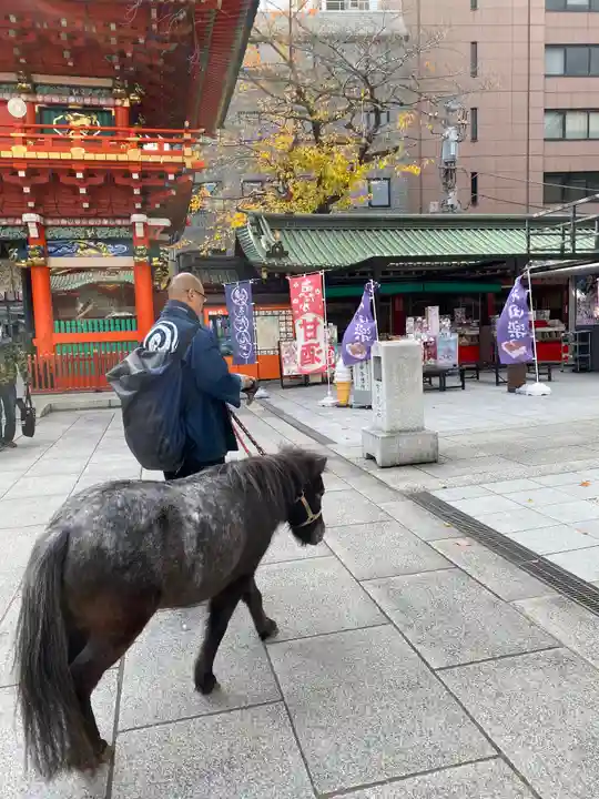 神田神社(神田明神)の動物