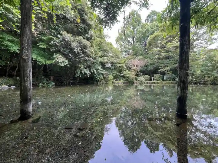 富士山本宮浅間大社の{uncategorized: "未分類", other: "その他", undefined: "問題あり", building: "その他建物", grave: "お墓", sacred_gate: "鳥居", guardian: "狛犬", statue: "像", buddha: "仏像", history: "歴史", nature: "自然", garden: "庭園", animal: "動物", pagoda: "塔", temizu: "手水舎", mountain_gate: "山門・神門", sanctuary: "本殿・本堂", subordinate: "末社・摂社", art: "芸術", scenery: "景色", jizo: "地蔵", ema: "絵馬", goshuin: "御朱印", omikuji: "おみくじ", items: "授与品その他", amulet: "お守り", goshuincho: "御朱印帳", eats: "食事", festival: "お祭り", votive_dance: "神楽", shichigosan: "七五三参", wedding: "結婚式", experience: "体験その他", initially: "初詣", around: "周辺", anti_infection: "感染症対策"}