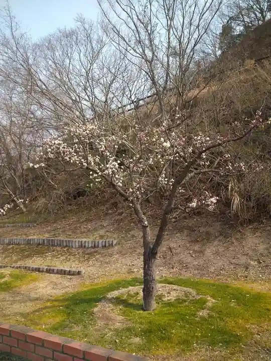 神前神社の自然