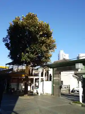 観音寺(東京都)