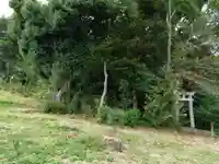 千歳稲荷神社の自然