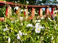 白鳥神社の自然