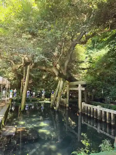 鹿島神宮(茨城県)