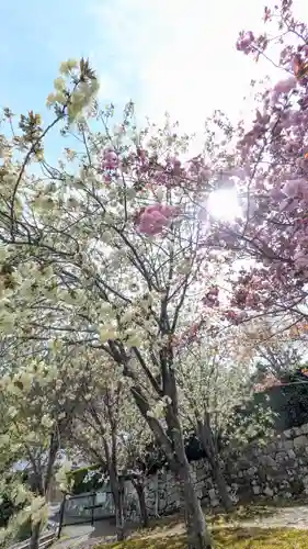 圓光寺(京都府)