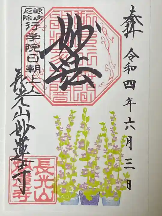 妙蓮寺の御朱印