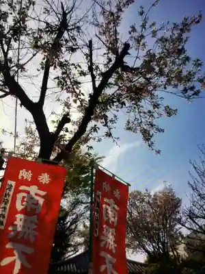 東光寺別院桜ヶ池不動院(東京都)