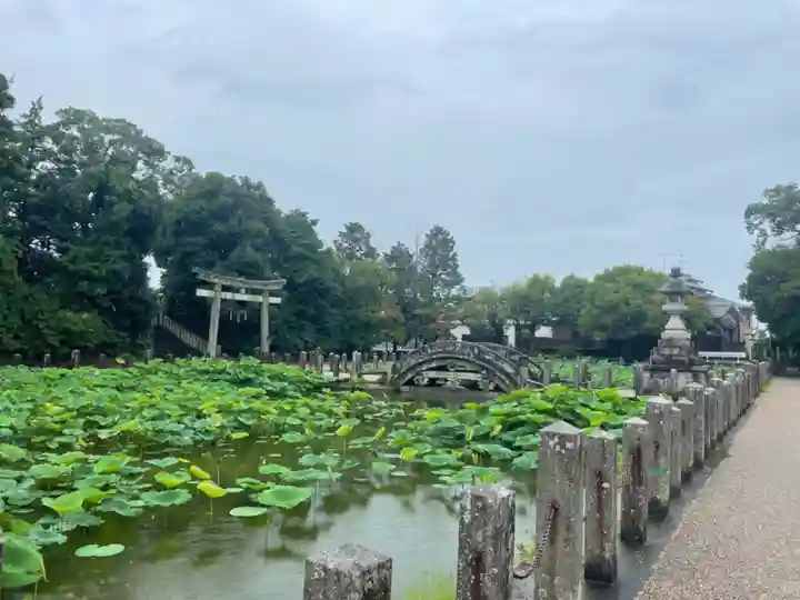 伊賀八幡宮(愛知県)
