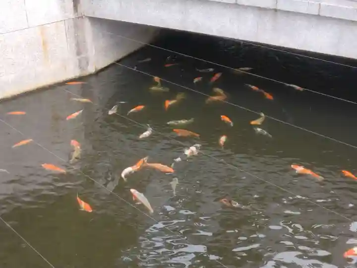 寒川神社(神奈川県)
