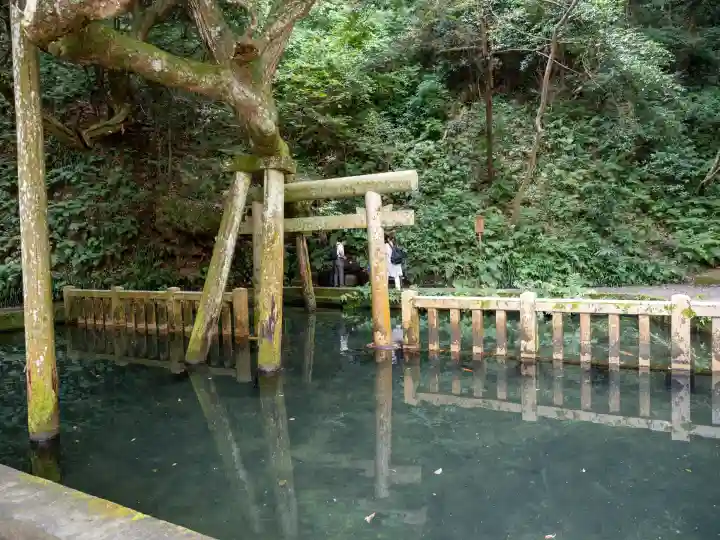 鹿島神宮(茨城県)