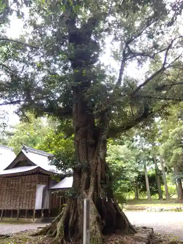 静志神社(福井県)