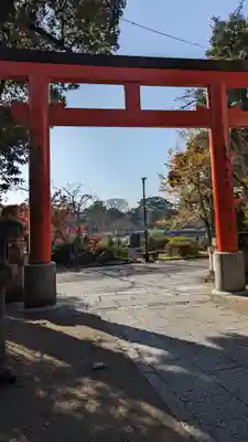 宇治神社の鳥居