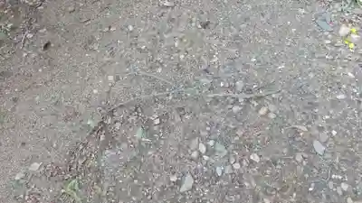 酒門神社(茨城県)