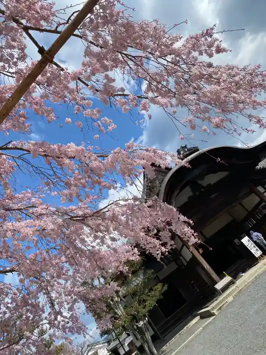 三宝院(三宝院門跡)の自然