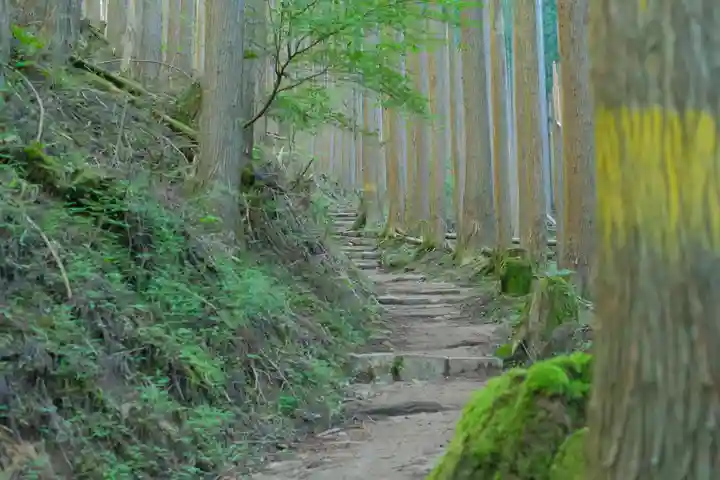 大峯山寺の自然