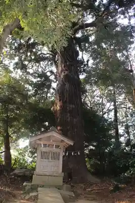 日吉神社(千葉県)