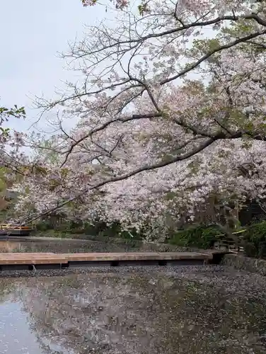鶴岡八幡宮の自然