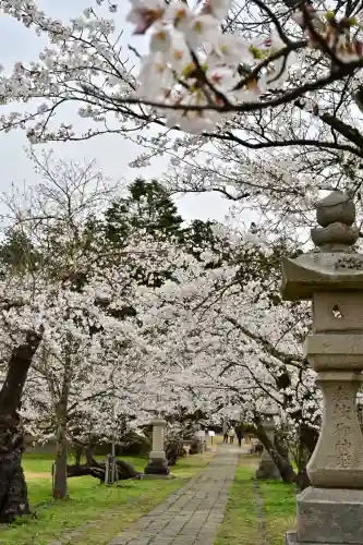 蒼柴神社(新潟県)