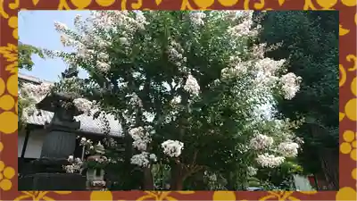 大蔵院(群馬県)