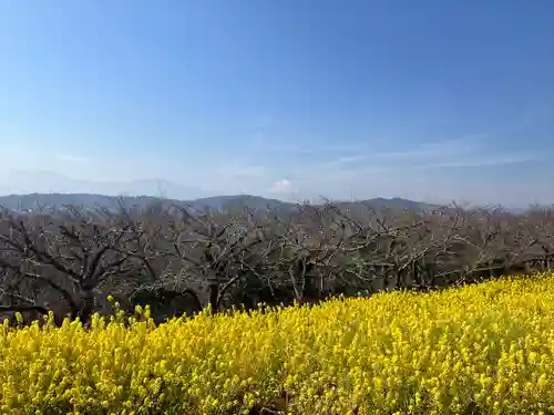 浅間神社(神奈川県)