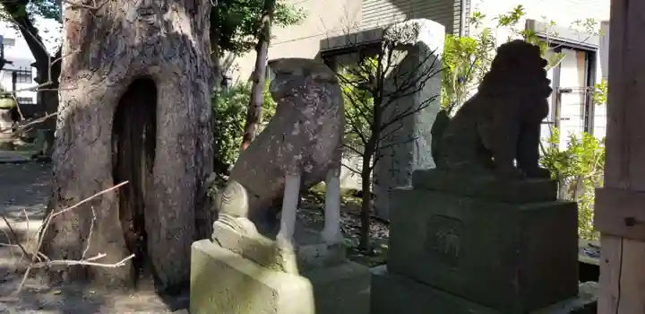 上平井天祖神社(東京都)