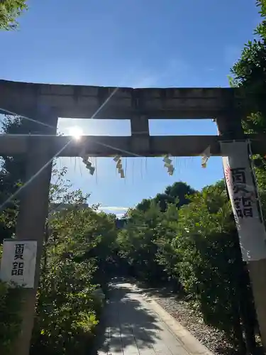 鳩森八幡神社の鳥居