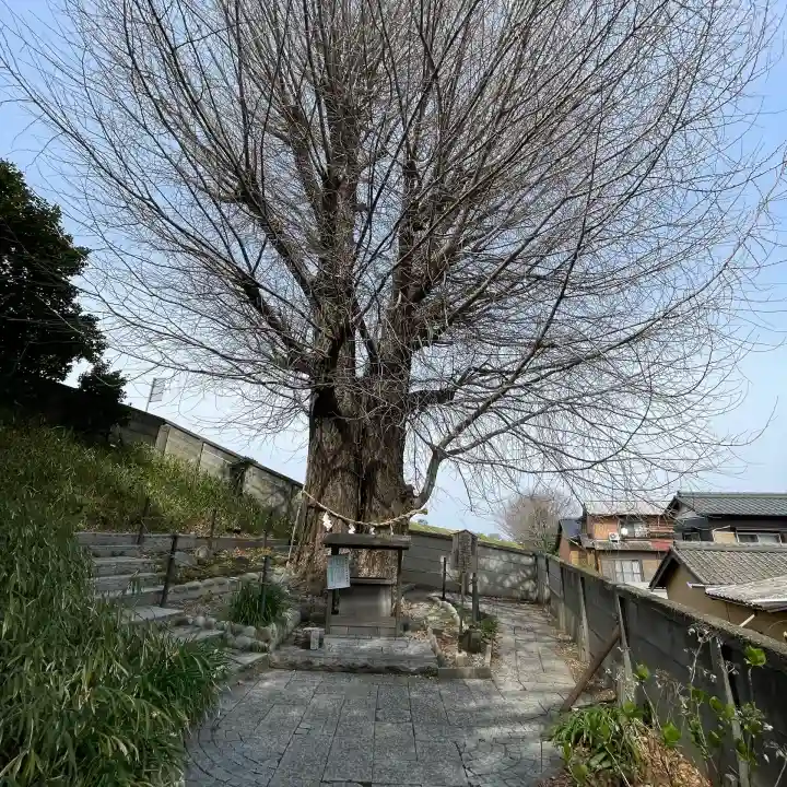 堤治神社の{uncategorized: "未分類", other: "その他", undefined: "問題あり", building: "その他建物", grave: "お墓", sacred_gate: "鳥居", guardian: "狛犬", statue: "像", buddha: "仏像", history: "歴史", nature: "自然", garden: "庭園", animal: "動物", pagoda: "塔", temizu: "手水舎", mountain_gate: "山門・神門", sanctuary: "本殿・本堂", subordinate: "末社・摂社", art: "芸術", scenery: "景色", jizo: "地蔵", ema: "絵馬", goshuin: "御朱印", omikuji: "おみくじ", items: "授与品その他", amulet: "お守り", goshuincho: "御朱印帳", eats: "食事", festival: "お祭り", votive_dance: "神楽", shichigosan: "七五三参", wedding: "結婚式", experience: "体験その他", initially: "初詣", around: "周辺", anti_infection: "感染症対策"}