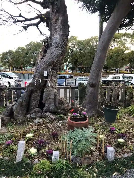 水堂須佐男神社の自然