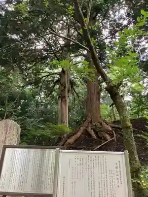 大塚丘(山梨県)