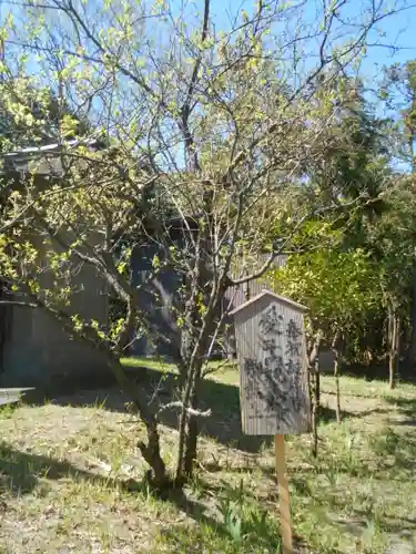 森山社（森山神社）の自然