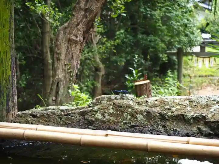 志太張神社のその他建物