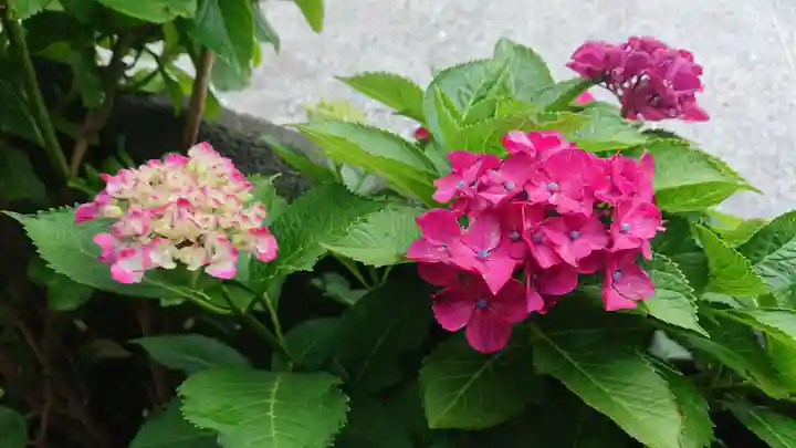 明徳稲荷神社の自然