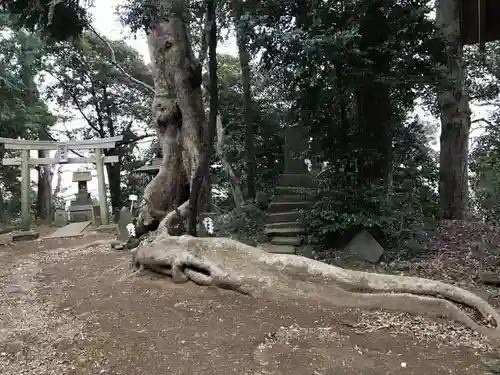 赤城神社の鳥居