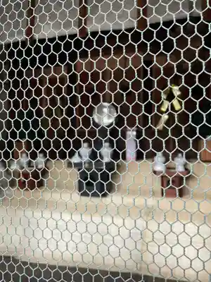 櫻宮神社(桜宮)(京都府)