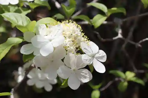 唐招提寺(奈良県)
