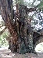 建長寺のお祭り