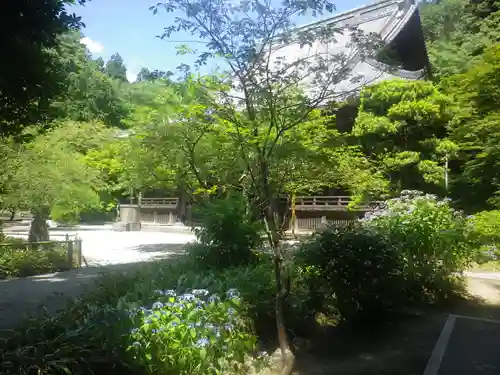 妙本寺の庭園