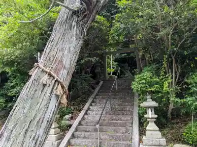 苗代神社の{uncategorized: "未分類", other: "その他", undefined: "問題あり", building: "その他建物", grave: "お墓", sacred_gate: "鳥居", guardian: "狛犬", statue: "像", buddha: "仏像", history: "歴史", nature: "自然", garden: "庭園", animal: "動物", pagoda: "塔", temizu: "手水舎", mountain_gate: "山門・神門", sanctuary: "本殿・本堂", subordinate: "末社・摂社", art: "芸術", scenery: "景色", jizo: "地蔵", ema: "絵馬", goshuin: "御朱印", omikuji: "おみくじ", items: "授与品その他", amulet: "お守り", goshuincho: "御朱印帳", eats: "食事", festival: "お祭り", votive_dance: "神楽", shichigosan: "七五三参", wedding: "結婚式", experience: "体験その他", initially: "初詣", around: "周辺", anti_infection: "感染症対策"}