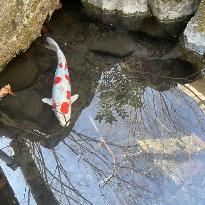 子安神社(東京都)