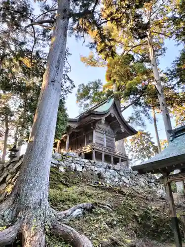 質美八幡宮の本殿