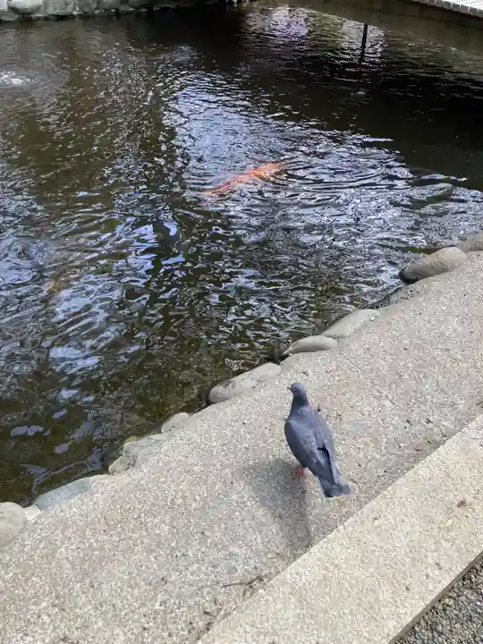 平塚八幡宮(神奈川県)