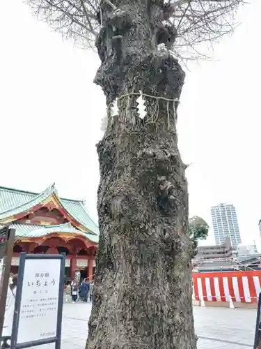 神田神社（神田明神）(東京都)