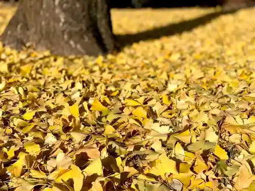 船玉神社(茨城県)