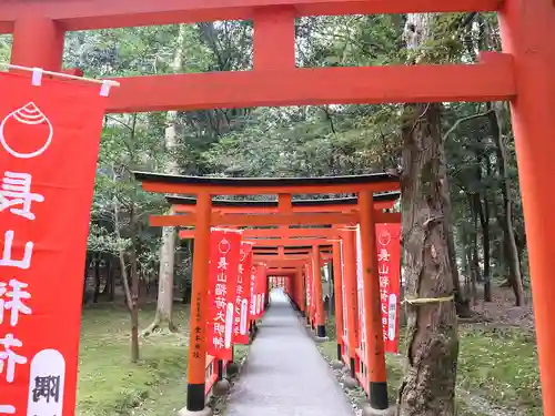 橿原神宮の鳥居