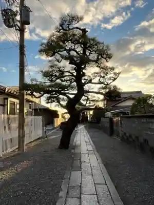 都久生須麻神社(滋賀県)