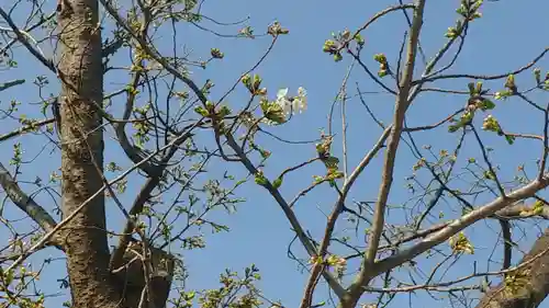 筥崎宮(福岡県)