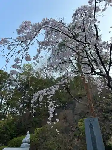 今熊野観音寺(京都府)