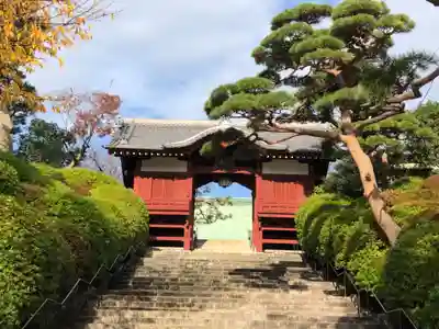 護国寺の山門・神門