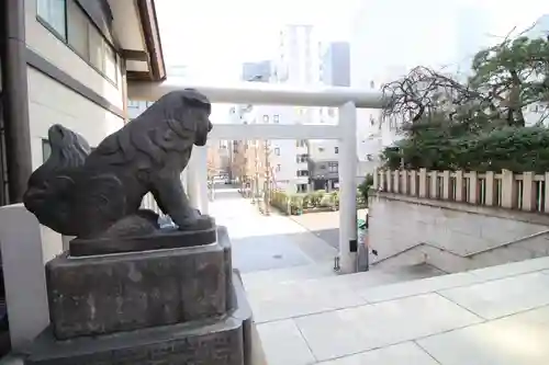 芝大神宮の狛犬